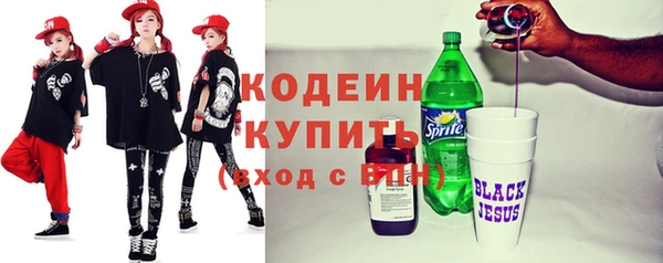 гашик Ельня