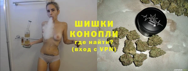 PSILOCYBIN Елизово