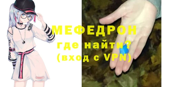 гашик Ельня