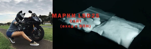 гашик Ельня
