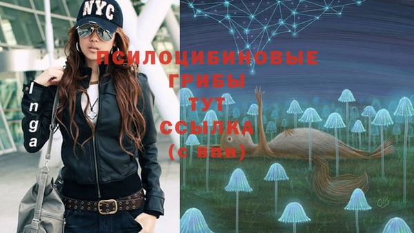 гашик Ельня