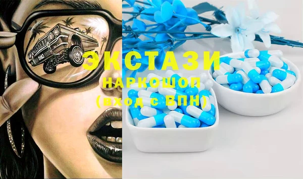 гашик Ельня
