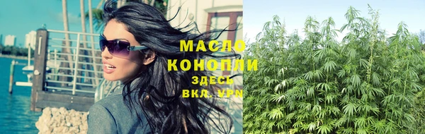 гашик Ельня