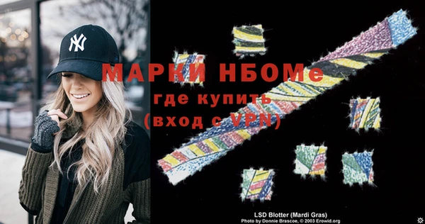 гашик Ельня