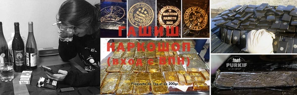 гашик Ельня