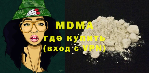 гашик Ельня