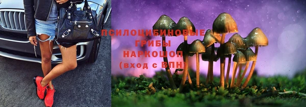 PSILOCYBIN Елизово