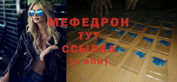 гашик Ельня