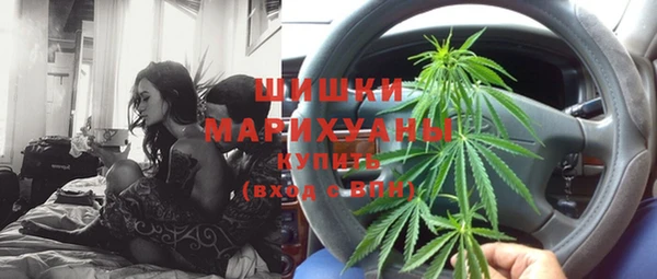 PSILOCYBIN Елизово
