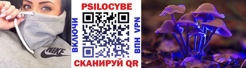Купить закладки  Кимры  Псилоцибиновые грибы Magic Shrooms 